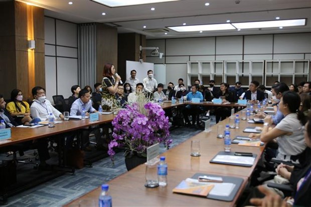 Opportunites d'investissement a Ho Chi Minh-Ville presentees aux entreprises singapouriennes hinh anh 2