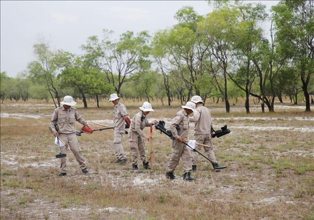 Quang Tri : deminage de plus de 275 millions de m2 de terres contaminees par des bombes et mines hinh anh 1