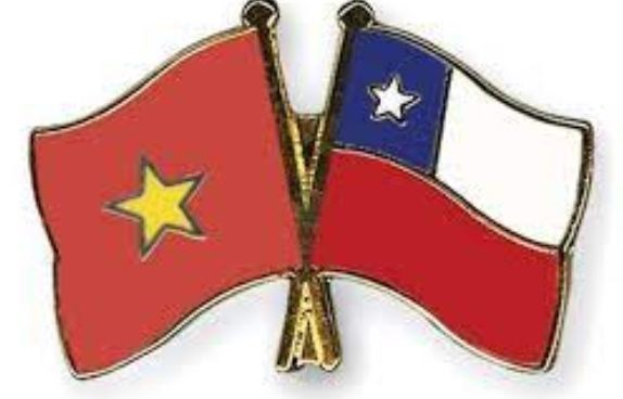 77 ans de la Fete nationale : le Vietnam est toujours un partenaire fiable du Chili hinh anh 1
