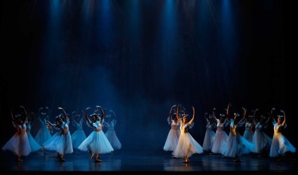 Le ballet classique Giselle revient a Ho Chi Minh-Ville hinh anh 1