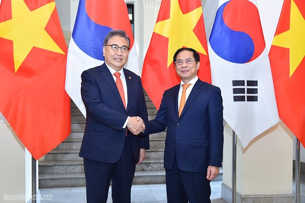 Le ministre des AE Bui Thanh Son s'entretient avec son homologue sud-coreen Park Jin hinh anh 1