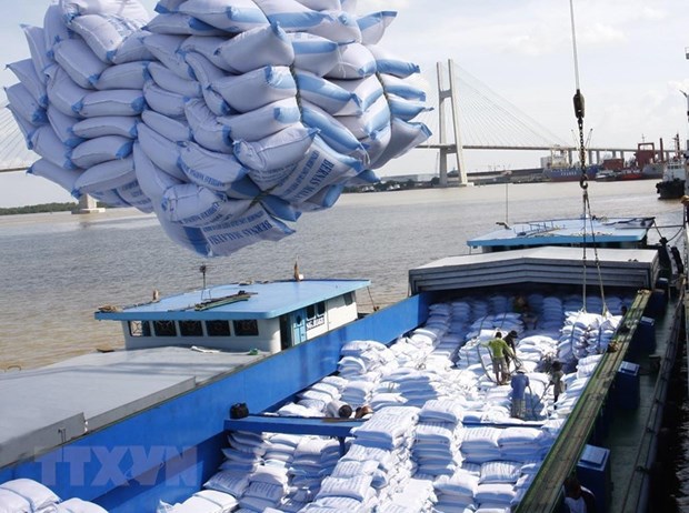 Plus de 6 millions de tonnes de riz exportees en dix mois hinh anh 1