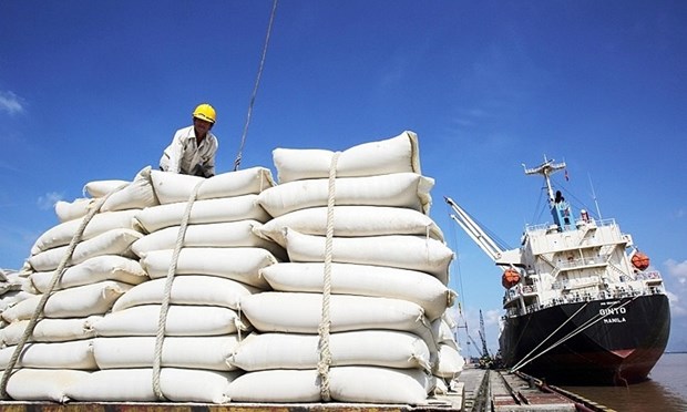Les Philippines, premier importateur de riz vietnamien en neuf mois hinh anh 1
