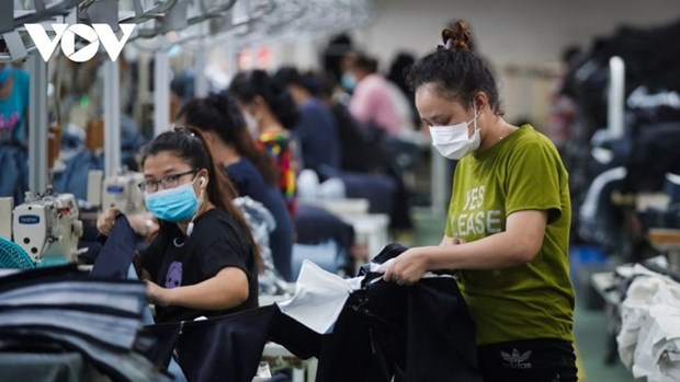 Les entreprises vietnamiennes se mettent au vert hinh anh 1