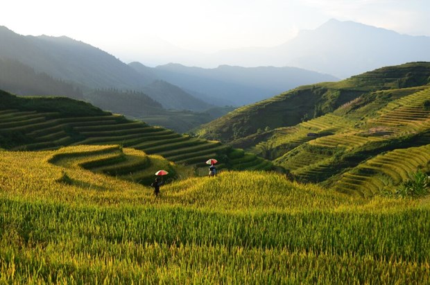 Dix destinations spectaculaires au Vietnam, selon The Travel hinh anh 1