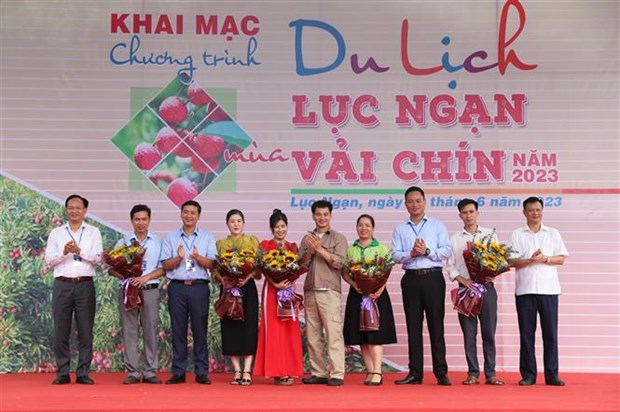 Bac Giang : programme touristique a la saison des litchis murs de Luc Ngan 2023 hinh anh 1