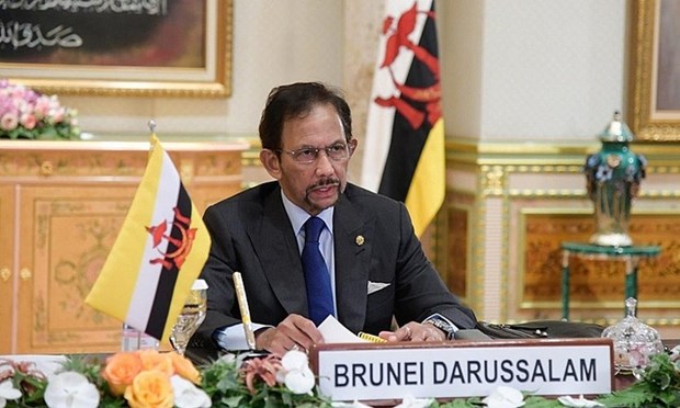 Le Brunei prend la presidence de l’ASEAN hinh anh 1