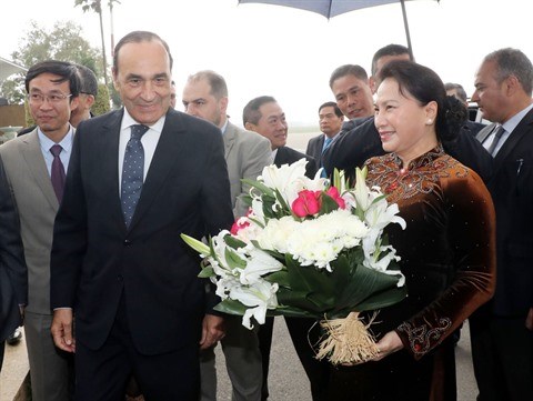 Donner un nouvel elan aux relations Vietnam - Maroc hinh anh 2