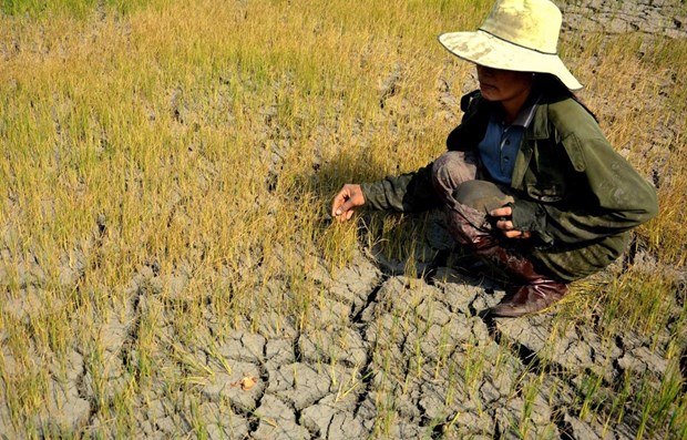 Le Vietnam promeut l'integration du genre dans la lutte contre le changement climatique hinh anh 1