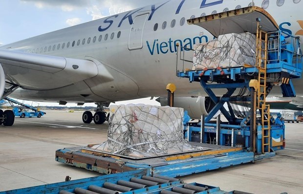 Arrivee au Vietnam de 180.000 kits de test du COVID-19 offerts par l’Allemagne hinh anh 1