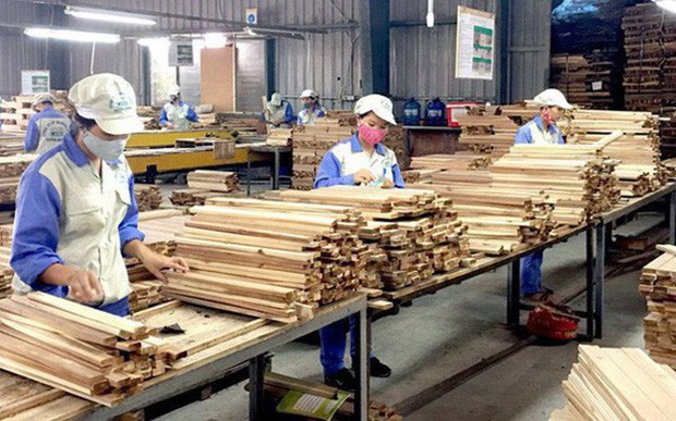 Le Vietnam vise 20 milliards de dollars d’exportations de bois et produits sylvicoles d'ici 2025 hinh anh 2