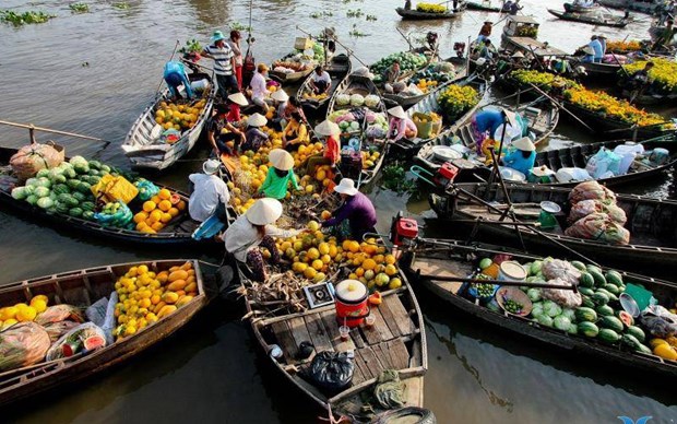 Faire du delta du Mekong un endroit agreable a vivre hinh anh 1