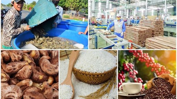 Exportations : neuf produits agricoles franchissent la barre du milliard de dollars hinh anh 1