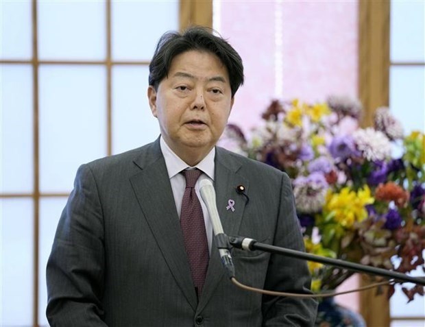 Le Japon souligne le role important de l’ASEAN dans la region Indo-Pacifique hinh anh 1