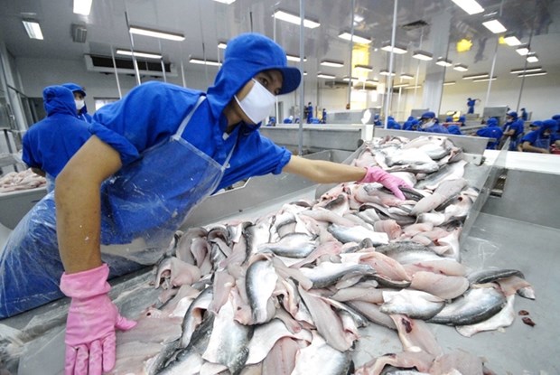 Pangasius vietnamien: la Chine conserve son statut de premier importateur hinh anh 1