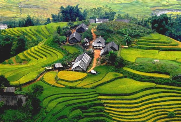 Lonely Planet recommande huit treks attrayants au Vietnam hinh anh 1