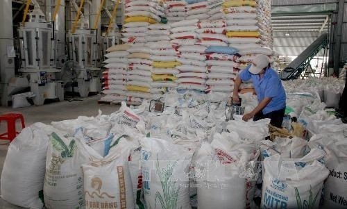 De nombreux signes positifs pour les exportations de riz en 2023 hinh anh 1