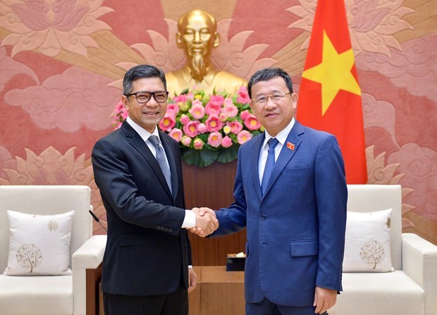 Renforcement de la cooperation entre les organes legislatifs vietnamien et indonesien hinh anh 1