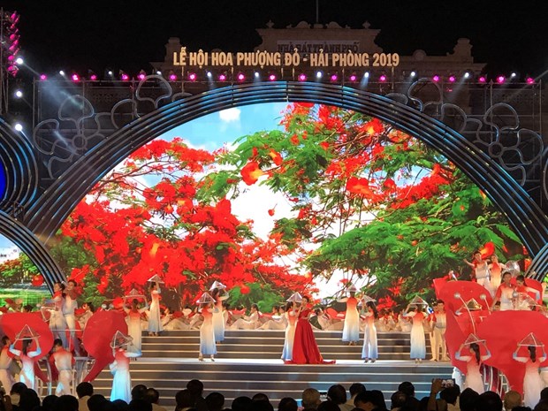 COVID-19: annulation du Festival des fleurs de flamboyants rouges de Hai Phong 2020 hinh anh 1