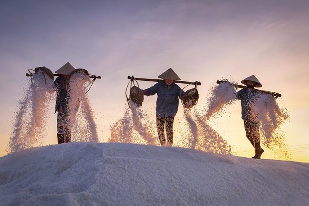 Le Vietnam remporte deux prix d'or au concours international de photos Contrast 2020 hinh anh 2