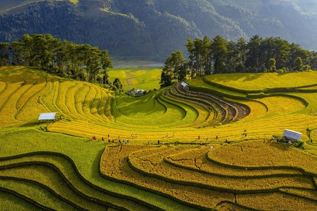 Le Vietnam remporte deux prix d'or au concours international de photos Contrast 2020 hinh anh 5