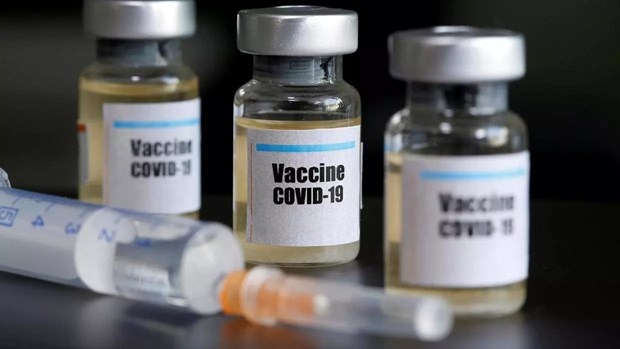 COVID-19 : Accelerer la recherche d'un vaccin contre le SARS-CoV-2 hinh anh 1
