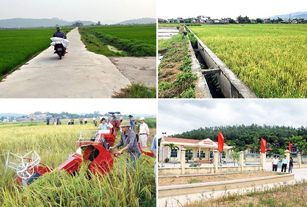 Hanoi : pres de 12.000 milliards de dongs mobilises pour l’edification de la Nouvelle ruralite hinh anh 1