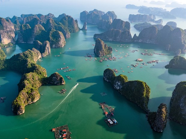 Insider : La baie de Ha Long classee parmi les 50 plus belles merveilles naturelles hinh anh 1
