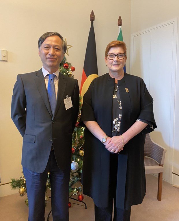 La ministre australienne des Affaires etrangeres et du Commerce recoit l'ambassadeur du Vietnam hinh anh 1