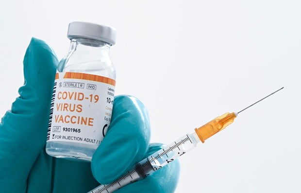 Des experts de l'ASEAN et de l'UE discutent de l'acces a des vaccins anti-COVID-19 surs et efficaces hinh anh 1