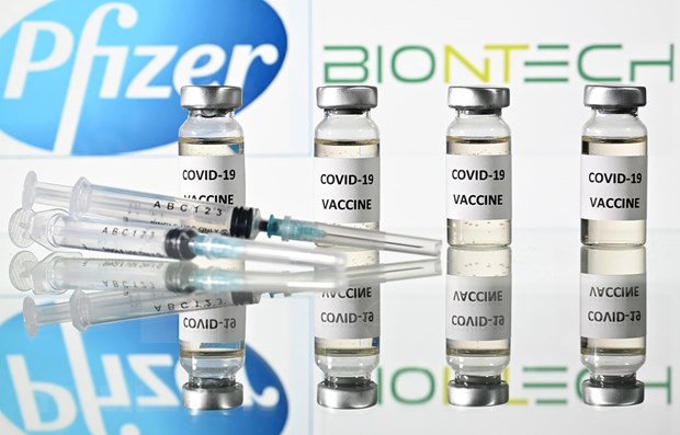 Singapour donne son feu vert au vaccin Pfizer/BioNTech contre le COVID-19 hinh anh 1