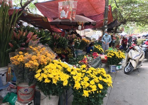 Tet: Ambiance morne au marche aux fleurs et plantes ornementales a Hanoi hinh anh 2