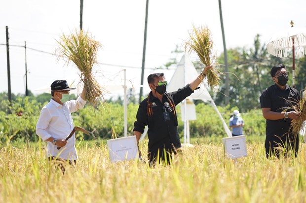 L'Indonesie appelle ses regions a promouvoir l'agrotourisme hinh anh 1