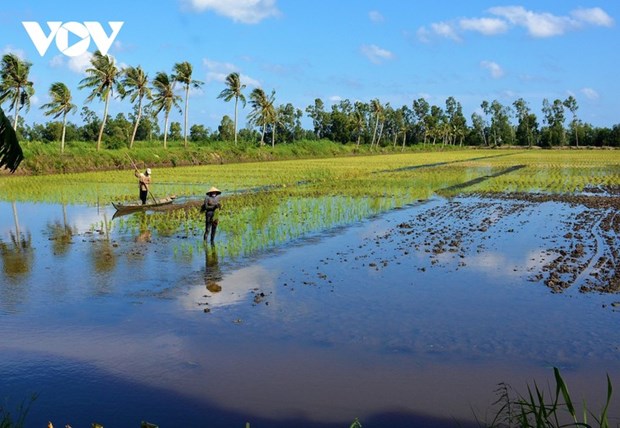 Le Delta du Mekong opte pour un developpement adapte au changement climatique hinh anh 1