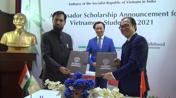 L'ambassade du Vietnam en Inde annonce le programme de bourses Ambassadeur 2021 hinh anh 1