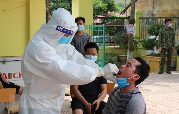COVID-19: le Vietnam enregistre 33 nouveaux cas dans la matinee du 24 mai hinh anh 1