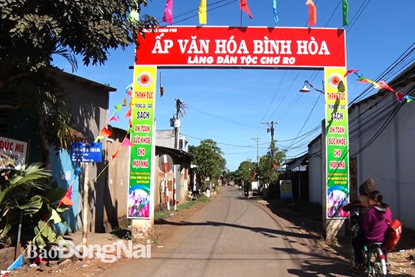 Dong Nai attire les investissements dans le developpement des zones de minorites ethniques hinh anh 1