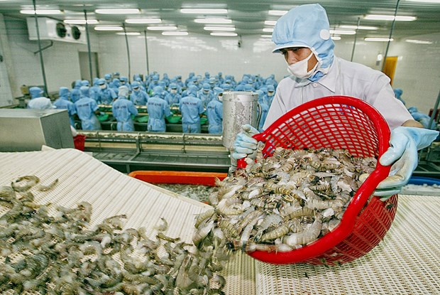 Les exportations de crevettes augmentent malgre la crise sanitaire hinh anh 1