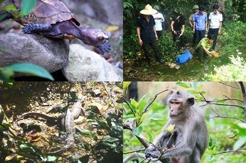 Quang Ninh: A la decouverte de la faune de l'ile de Ba Mun hinh anh 1