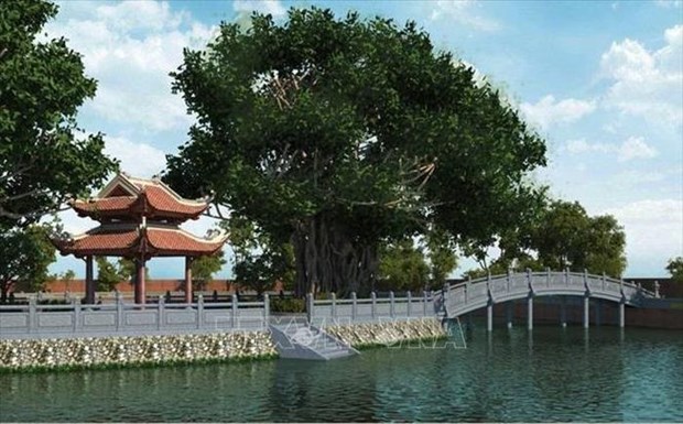 Le phuong dinh du Temple de la Litterature bientot reconstruit hinh anh 1