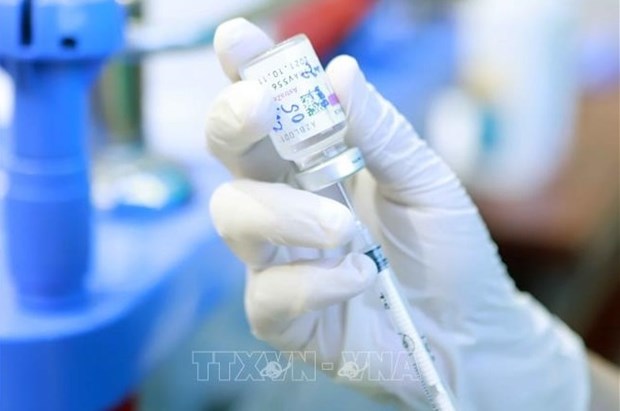 Le Royaume-Uni et la Republique tcheque fournissent au Vietnam 665.000 doses de vaccin anti-COVID-19 hinh anh 1
