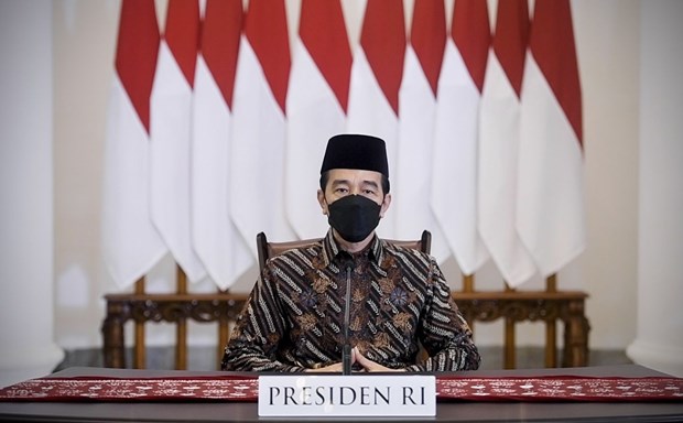 Indonesie: le president Jokowi dit que le COVID-19 pourrait aggraver l'economie nationale hinh anh 1