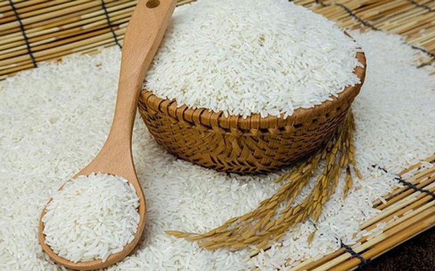 Le Vietnam represente 87% des importations totales de riz des Philippines hinh anh 1