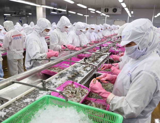Pour que le Vietnam devienne un centre mondial de transformation des produits aquatiques hinh anh 1