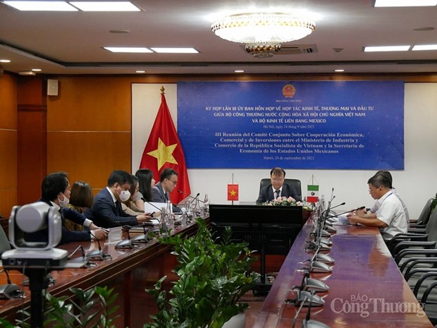 Renforcement de la cooperation economique Vietnam-Mexique hinh anh 1