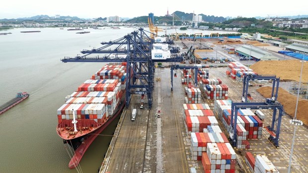 Trois ports vietnamiens classes parmi les plus performants au monde hinh anh 1