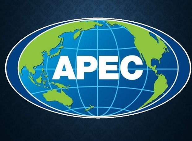 L'APEC œuvre pour une reprise durable et inclusive hinh anh 1
