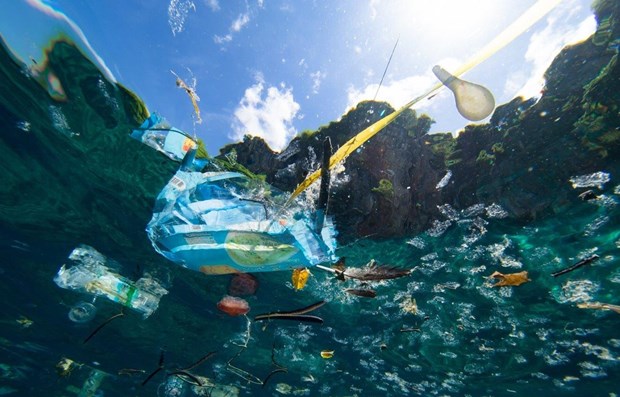 Le Vietnam copreside une conference sur la pollution plastique et les dechets marins a Geneve hinh anh 2