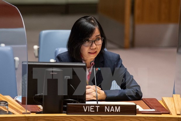 CDS de l'ONU: le Vietnam appelle a l'eradication de la discrimination a l'egard des veuves hinh anh 2