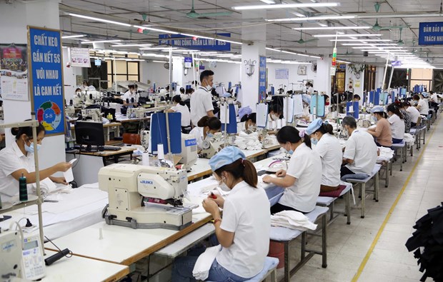 Plus de 46,8% des travailleurs a Ho Chi Minh-Ville touches par la pandemie de COVID-19 hinh anh 1